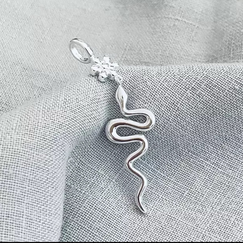 Silver Snake Pendant